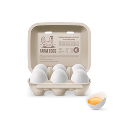 Fresh Organic Chicken Eggs in Open Carton Pack, or Egg Container Isolated on White Background. Six Large Eggs from Eggs Farm in Brand Pack