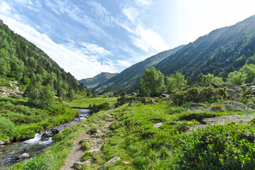 Landscape of creek in the mountains in Andorra during summer - obrazy, fototapety, plakaty
