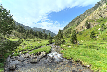 Fototapeta na wymiar landscape in the mountains, spring with running water during spring, Andorra.