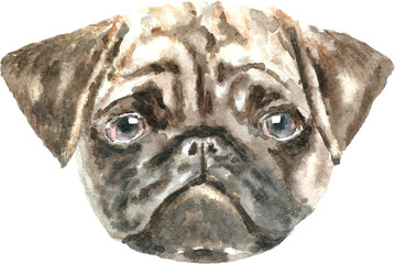 Watercolor dog breed pug illustration, dog head hipster portrait, dog in  hat, puppy fashion print, cute baby dog isolated on white background printable, dog character creator 