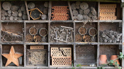 Close-up and background of an insect hotel made up of many different compartments with different...