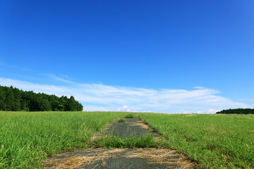 空に続く牧場の道