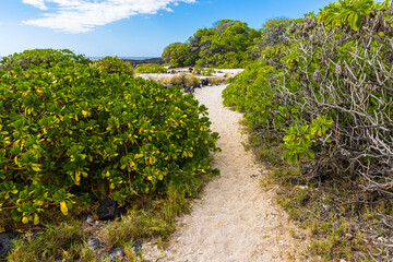 Fototapeta na wymiar The Ala Kahakai Trail National Historic Trail at Kalihi Point, Hawaii Island, Hawaii, USA