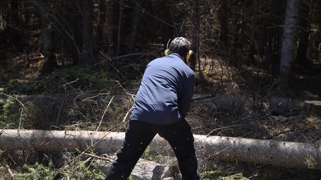 Short movie from behind a tree surgeon at work, wearing safety ear muffs and using a mechanical chain saw to chop pine trees with sawdust flying.