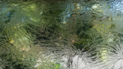 Foliage as viewed through a frosted glass pane.