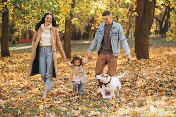 Naklejka na ściany i meble Happy young family walks and plays with a dog in the autumn park