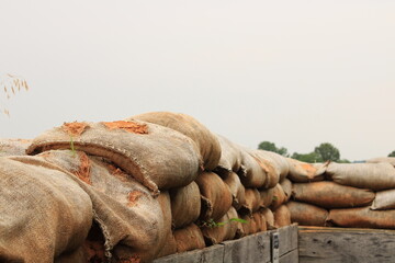 A walk in Fort Donnellson