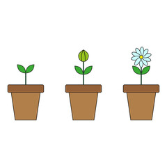 Flowerpot growth. Home indoor green decor. Vector illustration. stock image. 