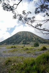 Fototapeta premium Bromo Mountain Dessert in Bromo Tengger Semeru National Park, East Java, Indonesia