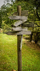 wooden signpost in the forest