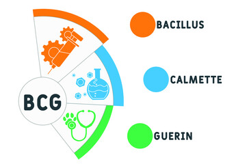 BCG Bacillus Calmette-Guerin acronym. medical concept background.  vector illustration concept with keywords and icons. lettering illustration with icons for web banner, flyer, landing page