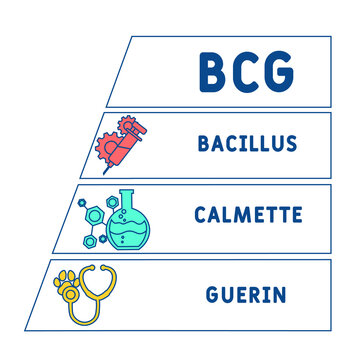 BCG Bacillus Calmette-Guerin acronym. medical concept background.  vector illustration concept with keywords and icons. lettering illustration with icons for web banner, flyer, landing page
