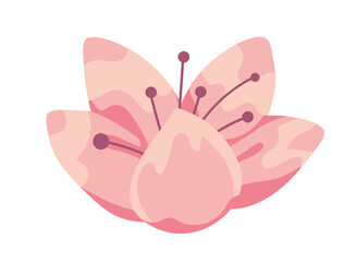 sakura flower nature © Stockgiu