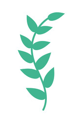 plant leaves icon