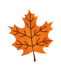 maple leaf icon