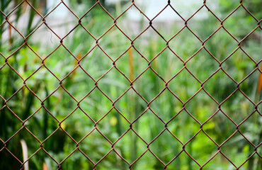 Fototapeta premium fence