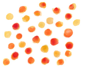 Watercolor painting decoration element dots dashs colorful artistic texture illustration