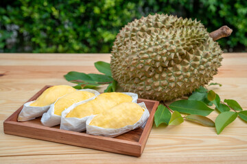 Tray of Mon Thong durian King of Fruits ready to serve, Durian tropical fruit on natural background.