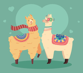 adorable llamas cartoon © Stockgiu