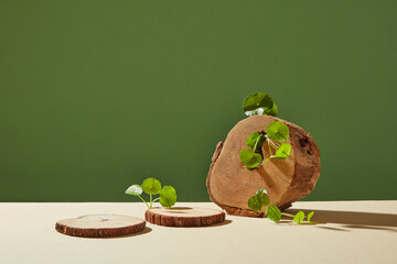Front view of centella asiatica ( gotu kola ) decorated with wooden shape in green background 