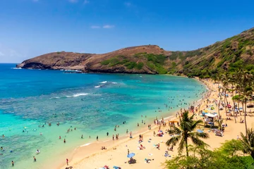 Fototapeten Hawaiian vacation vibes on Oahu © Nic's Pixels