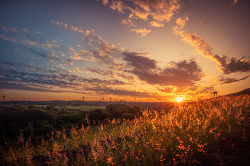 sunset in the field