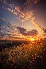 sunset over the field