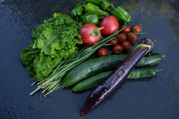 粘板岩（スレート板）に乗せた夏野菜