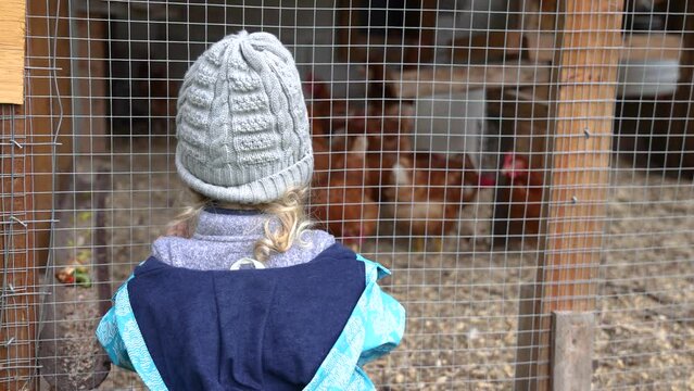 Short slow mo clip from the rear of a toddler standing in front of a hen house watching brown chickens, seen blurry in background with copy space.