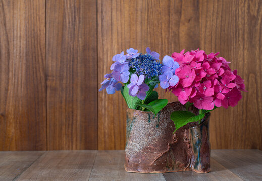 額紫陽花 Images Browse 2 580 Stock Photos Vectors And Video Adobe Stock