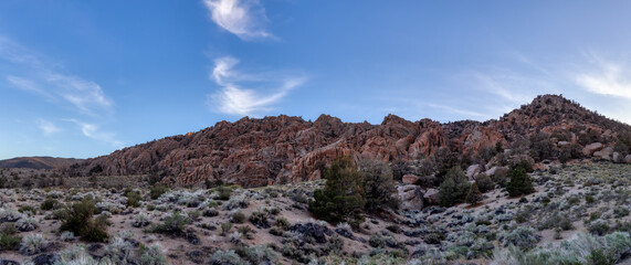 Dry rocky desert mountain landscape with trees. Sunny Sunset Sky. California, United States of America. Nature Background. Panorama