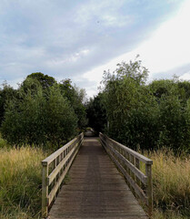 Fototapeta na wymiar wooden bridge in park