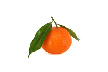 Clementine, tangerine or mandarin orange fruit