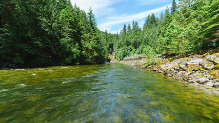 Mossy boulders by Capilano River, just below Cleveland Dam and Capilano fish hatchery, North Vancouver, BC, early summer. © Andrew