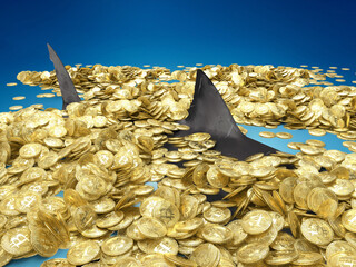 Shark surrounded by bitcoin on a blue background. Conceptual Metaphorical Image of Dangerous Sharks...