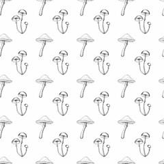 Seamless black and white outline pattern with mushrooms. Simple botanical background hand drawn in ink sketch style.