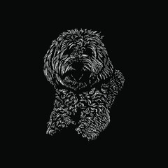 Yorkie Bichon hand drawing vector illustration isolated on black background