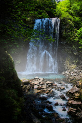 乗鞍三名滝と呼ばれる、落差8メートルの迫力ある善五郎の滝とその周辺のさわやかな6月の風景