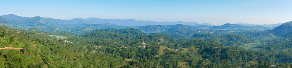 Fototapeta na wymiar Panoramic view from the lookout to the green jungle and mountains in the Ella area. Ella, Sri Lanka