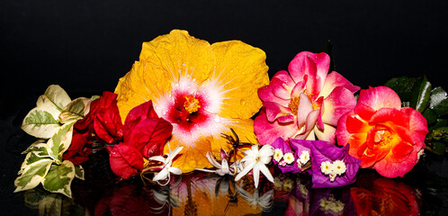 reflection of garden flowers on black background