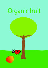 Simpatica etichetta per frutta biologica con una mela ed una coccinella per simbolo o illustrazione busta della spesa bavaglino bebè