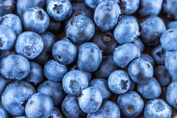 A bunch of delicious and ripe blueberries.