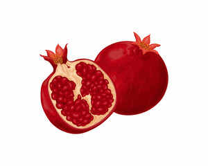 Pomegranate. Image of a ripe pomegranate. Fresh fruit. Unpeeled pomegranate. Vector illustration isolated on a white background