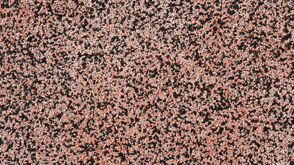running track rubber playground background texture. playgrounds and sports grounds in orange color