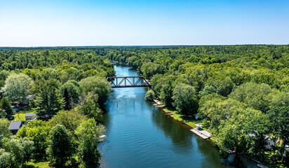 bridge over the river in the forest