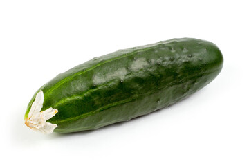 Fresh cucumber on a white background.
