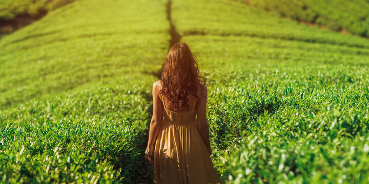 Romantic stylish woman traveler standing against nature background tea plantations landscape. Back view of young adult brunette woman in yellow dress in front of perfect natural backdrop tea farm