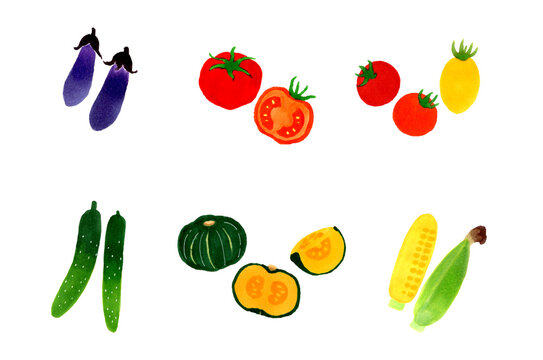 夏野菜のセット　和風のシンプルなイラスト素材集