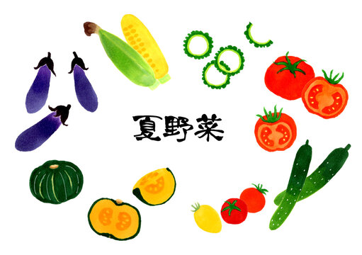 夏野菜のセット　和風のシンプルなイラスト素材集