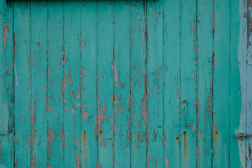 Old grungy green painted wood gate door background colorful